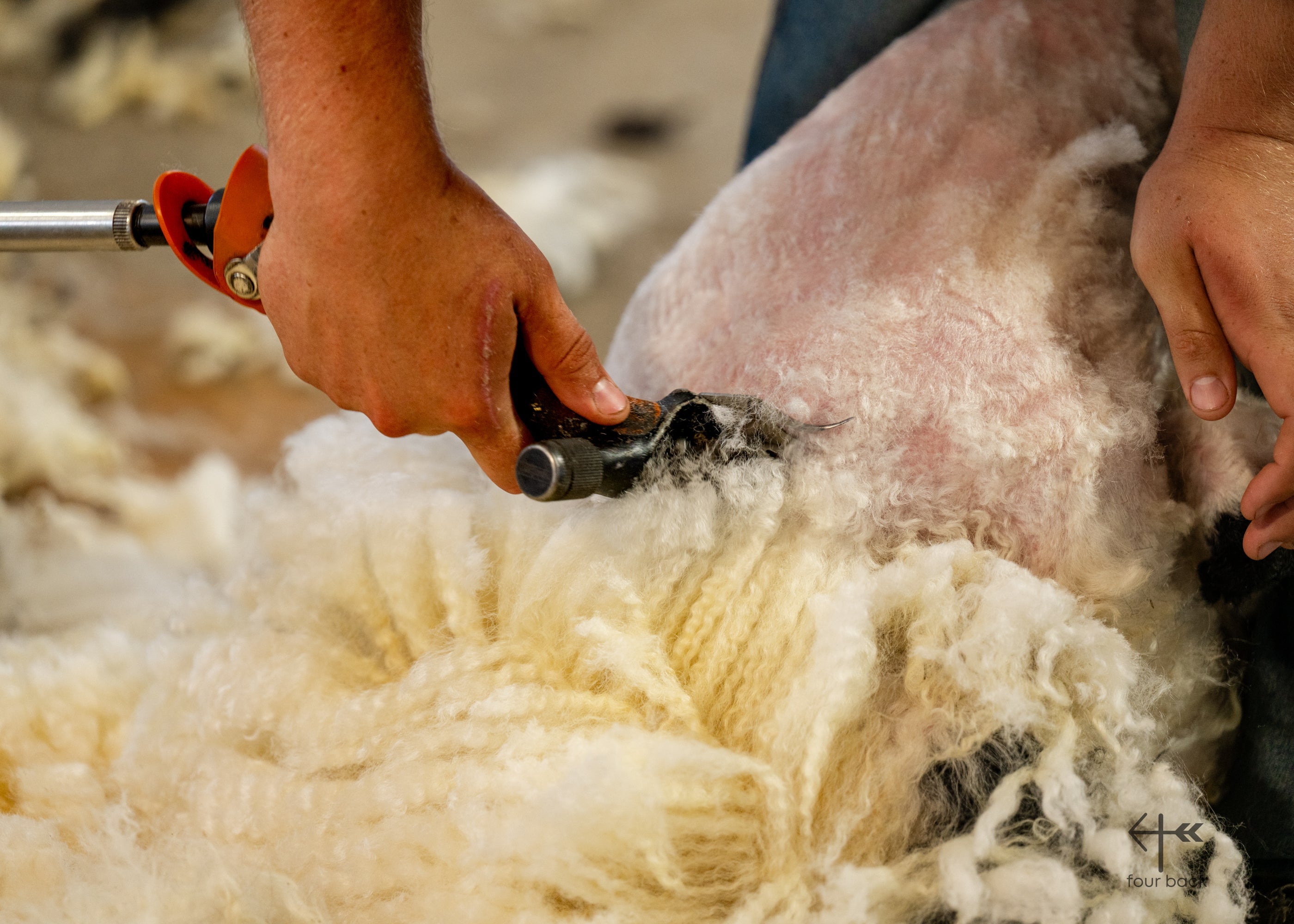 Wool Is Not Waste