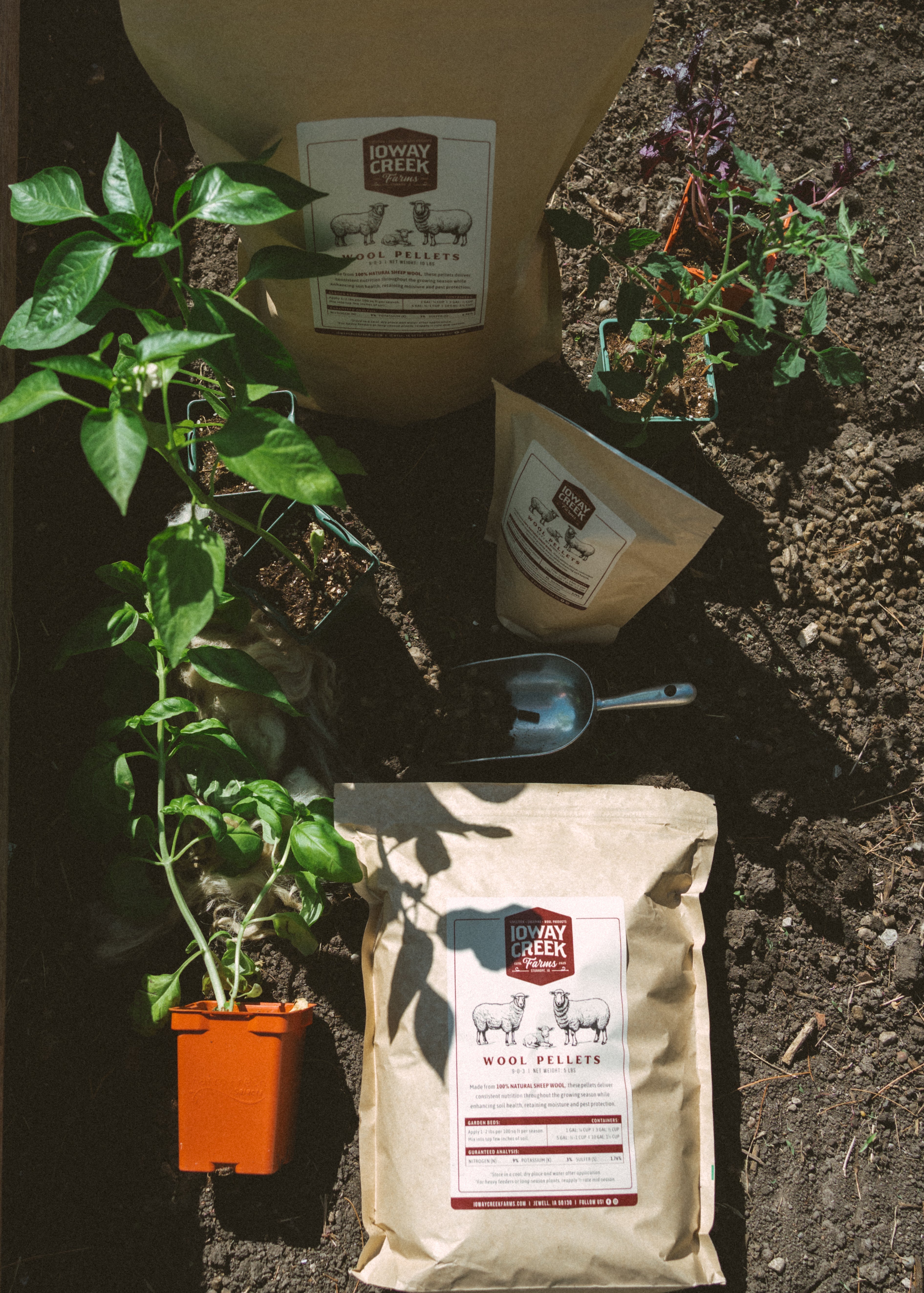 Plant Feeding Guide: Heavy, Medium & Light Feeders
