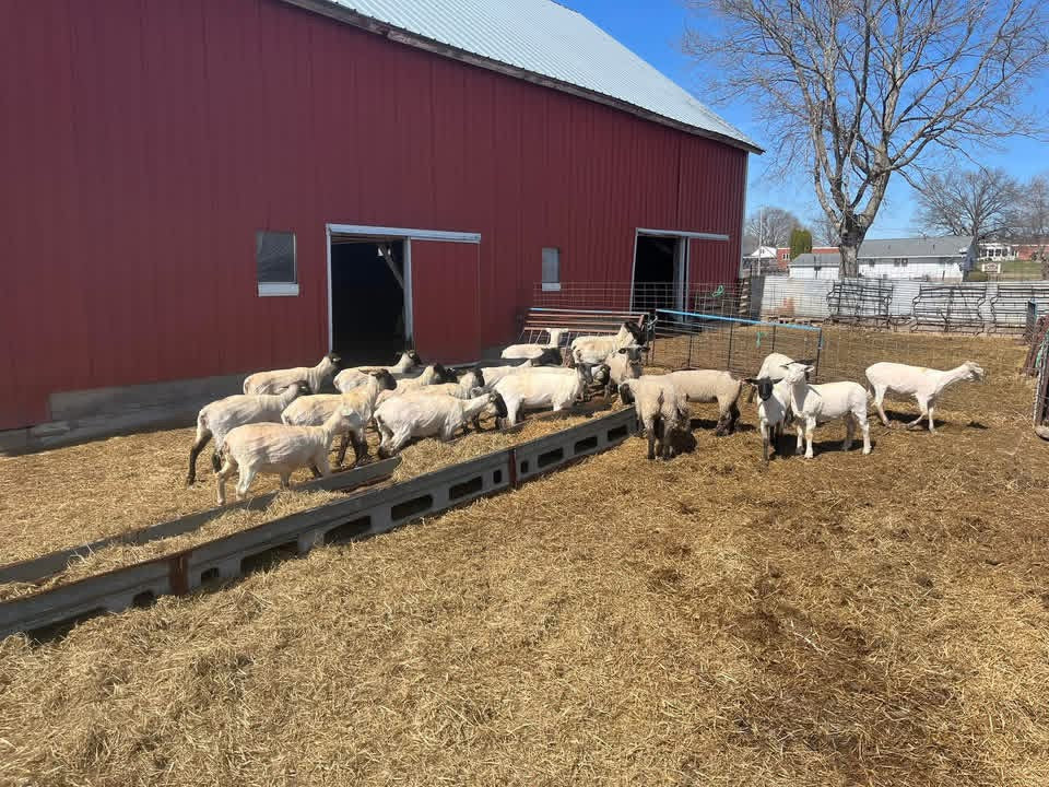 Day in Eastern Iowa